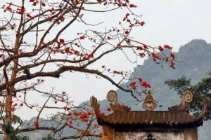 Chùa Hương mùa hoa gạo