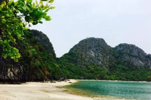 Chuyến phiêu lưu trên hoang đảo Mắt Rồng