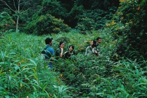 Chuyến trekking thót tim vì lỡ cano về Cát Bà