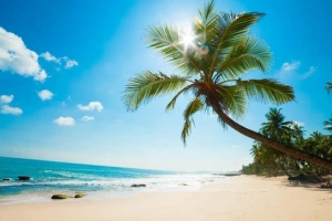 Cơ hội khám phá Phú Quốc cùng placevietnam.com và Cdiscount