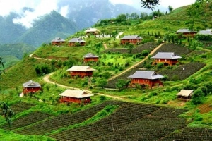 Cô Tô, Sapa, Tam Đảo - điểm nghỉ dưỡng mát mẻ nhất miền Bắc