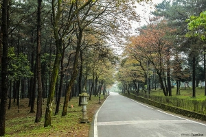 Con đường ở Ba Vì đẹp như Tây khiến ai cũng ngỡ ngàng
