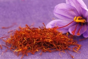Công dụng của nhụy hoa huệ tây saffron