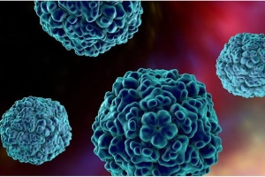 Coxsackie virus A16 và Enterovirus 71 (EV71): Tác nhân gây tay chân miệng