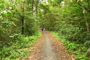 Cung đường trekking xuyên rừng ở Cát Bà