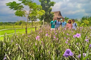Cuối tuần đi Củ Chi làm nông dân đúng chuẩn ở Nông Trang Xanh