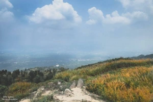 Cuối tuần rủ nhau trekking ngắm cánh đồng cỏ lau ở Đồng Nai