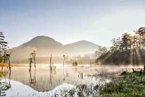 Đà Lạt đẹp lung linh và huyền ảo