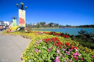 Đà Lạt rực rỡ trước giờ khai mạc lễ hội hoa
