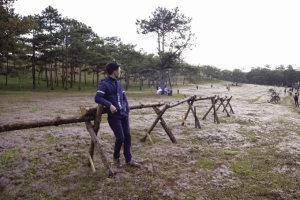 Đà Lạt vào mùa cỏ hồng ngày chớm đông