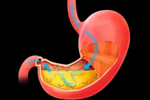 Đặc điểm hệ tiêu hóa và nhu cầu dinh dưỡng của trẻ em