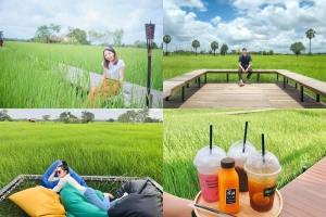 Dân tình xôn xao tiệm cafe view cánh đồng xanh ngát đang gây sốt ở Thái Lan