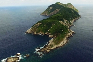 Đảo rắn độc đáng sợ ở Brazil