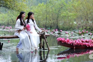 Đâu chỉ có lá vàng, thu Hà Nội còn là mùa nước nở hoa tím, đẹp lịm tim thế này