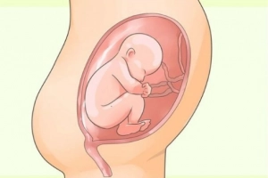 Dây rốn một động mạch có nguy hiểm?