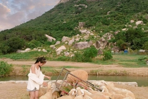 Đến đồng cừu Ninh Thuận để có bộ ảnh trên thảo nguyên độc lạ