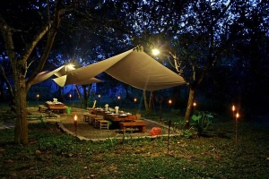 Đến Nam Cát Tiên trải nghiệm ngủ giữa rừng ở Cát Tiên Jungle Lodge