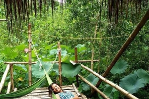 Đến Ninh Bình ở Chezbeo Valley Bungalows xinh xắn giữa đồng sen