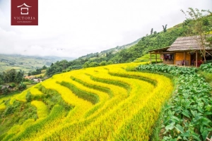 Đến Victoria Sapa Resort &#038; Spa trải nghiệm một Sapa đích thực giữa Tây Bắc