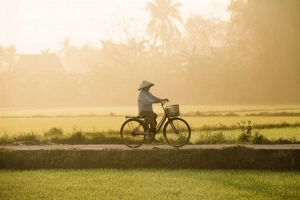 Đi đâu chơi nếu chỉ có một ngày ở Hội An?