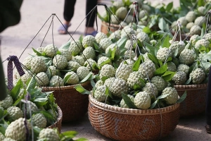 Đi Lạng Sơn mua và ăn na no bụng