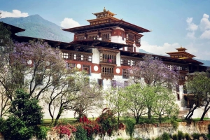 Định nghĩa &#8216;hạnh phúc&#8217; hóa giản đơn ở vương quốc trên mây Bhutan