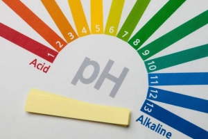 Độ pH âm đạo bao nhiêu là bình thường?