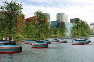 Độc đáo rừng nổi ở Rotterdam