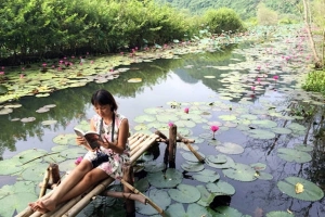 Đổi gió góc bình yên nơi suối Yến