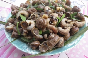 Du lịch An Giang &#8216;săn&#8217; món ngon ốc núi vùng Bảy Núi
