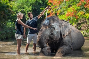 Du lịch Bali trải nghiệm những điều tuyệt vời ở Ubud