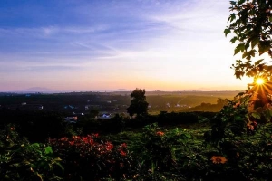 Du lịch Bảo Lộc đón nắng thu, ngắm hoa dã quỳ