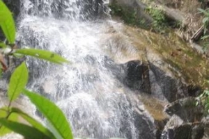 Du lịch bụi về với núi rừng Đạ Huoai