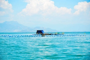 Du lịch Cam Ranh khám phá vẻ đẹp hoang sơ ở đảo Robinson