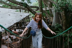 Du lịch Chiang Mai check-in The Giant - quán cà phê trên cây cực hot