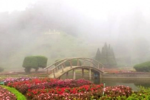 Du lịch Chiang Mai tìm hiểu lễ thả đèn trời và làng làm ô truyền thống