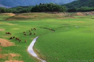 Du lịch Đà Nẵng khám phá hồ nước cạn như &#8216;thảo nguyên Mông Cổ&#8217;