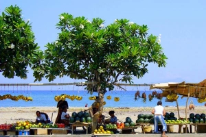Du lịch Đông Timor - 6 điều cuốn hút ở quốc gia trẻ nhất Đông Nam Á