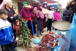 Du lịch Hà Giang, mua nấm ngọc cẩu làm quà