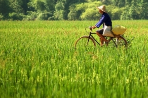 Du lịch Mai Châu: Cẩm nang từ A đến Z