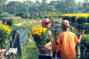 Du lịch miền Tây tháng 1 ghé thăm các làng hoa Tết vào mùa