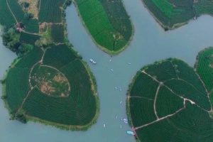 Du lịch Nghệ An: Cẩm nang từ A đến Z