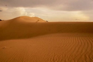 Du lịch Ninh Thuận trải nghiệm hái nho và trượt cát ở Phan Rang - Tháp Chàm
