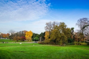 Du lịch Paris chạm vào mùa thu