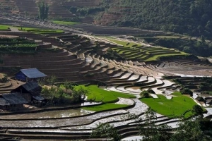 Du lịch Sa Pa ngắm ruộng bậc thang quyến rũ mùa nước đổ