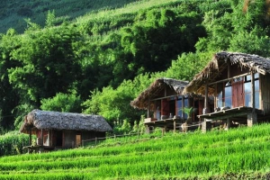 Du lịch Sapa nhớ ghé những homestay siêu xinh, siêu dễ thương dưới đây nhé