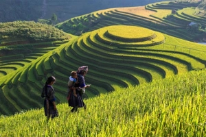 Du lịch Sapa trải nghiệm sự khác biệt tại bản Lao Chải – Tả Van