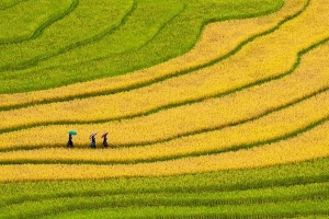 Du lịch Tết 2015 không nên bỏ qua những điểm đến nội địa đẹp như mơ