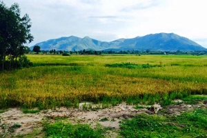 Du lịch Vũng Tàu cuối tuần trekking suối Tiên và núi Dinh