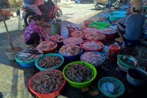 Du lịch Vũng Tàu khám phá chợ Xóm Lưới mua và ăn hải sản trong một nốt nhạc